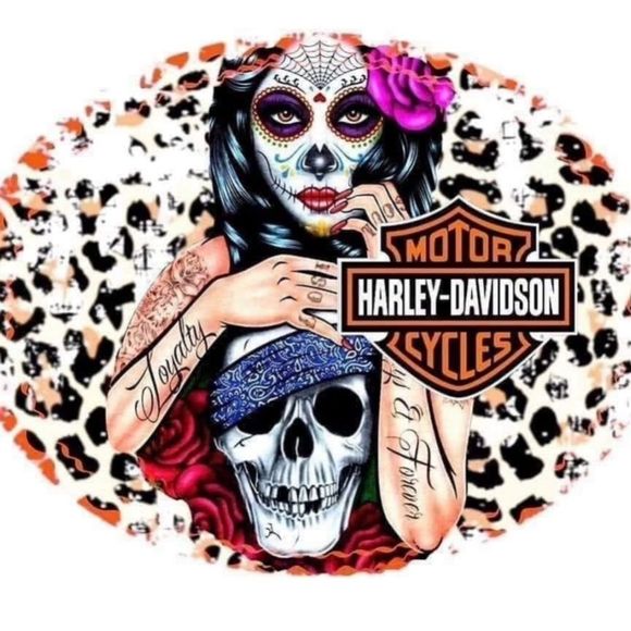 Examples of Harley magnets - Picture 3 of 16